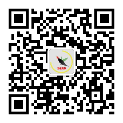 成都三微梦科技有限公司